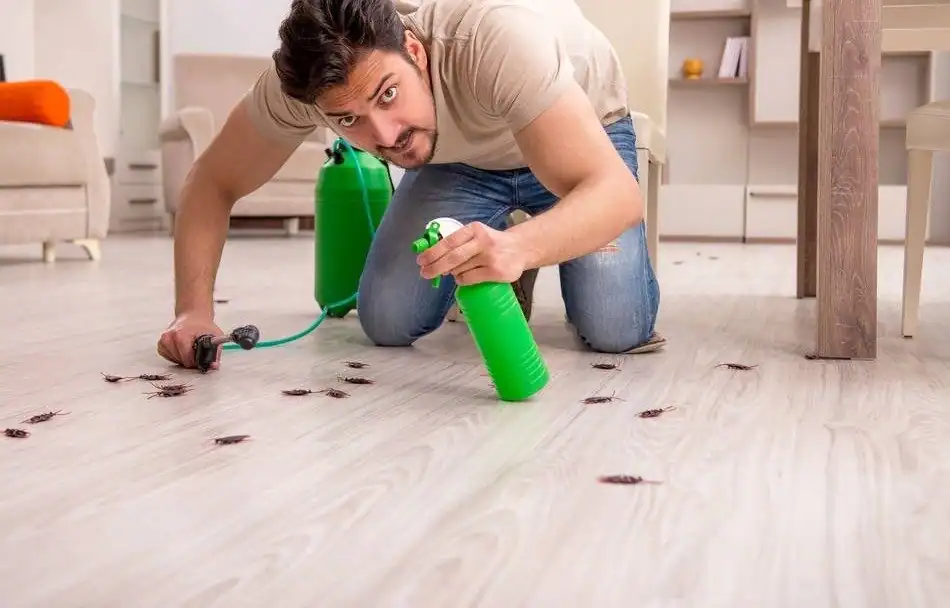Frustrated homeowner on the floor trying to get rid of cockroaches using DIY methods.